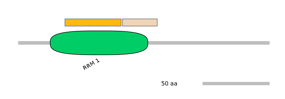 DreINT0125240-EXC