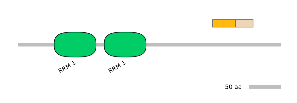 DreINT0125515-EXC