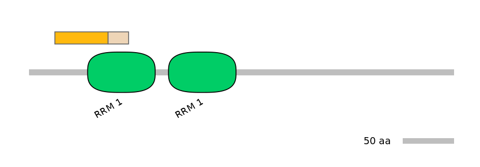 DreINT0125518-EXC