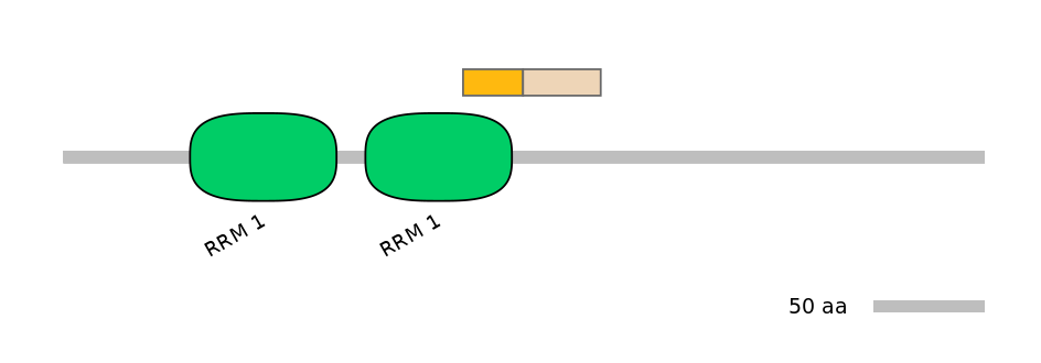 DreINT0125522-EXC