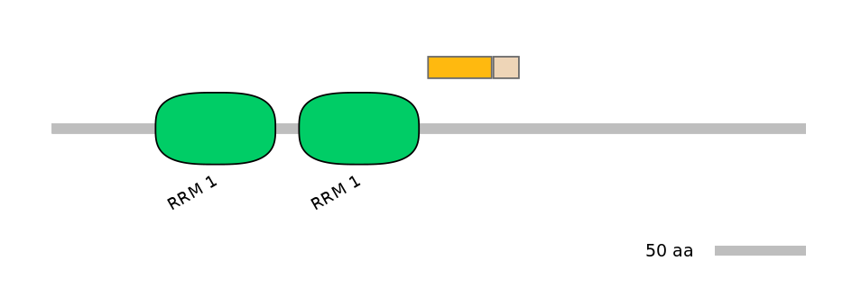DreINT0125523-EXC