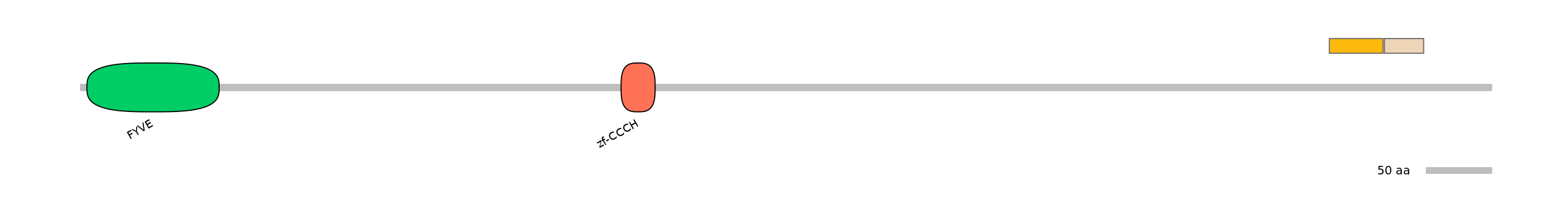 DreINT0125606-EXC