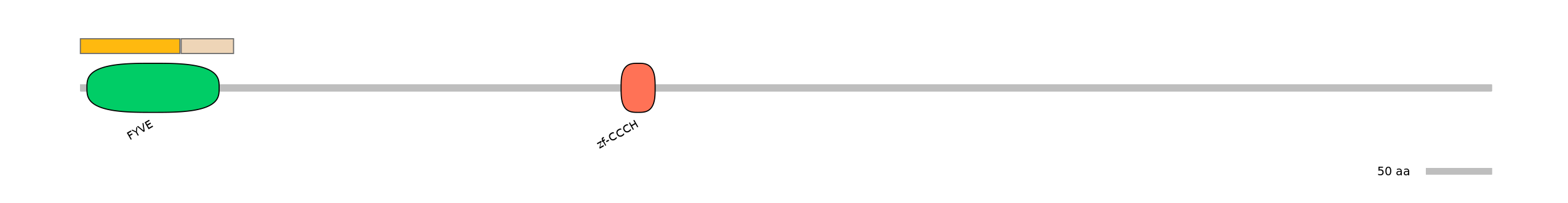 DreINT0125608-EXC