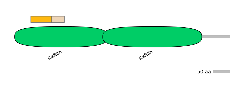 DreINT0126255-EXC