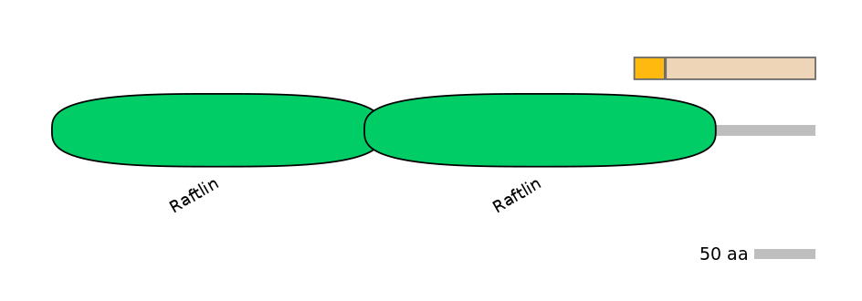 DreINT0126261-EXC
