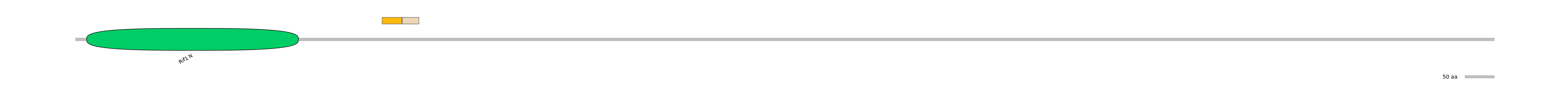 DreINT0127010-EXC