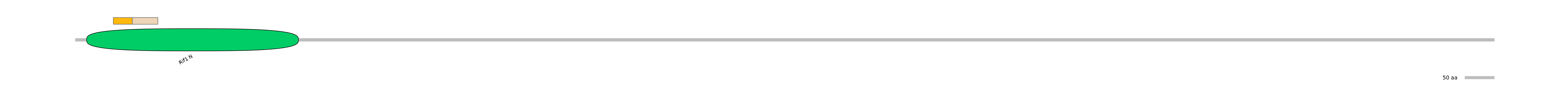 DreINT0127033-EXC