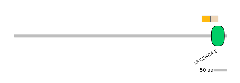 DreINT0127508-EXC