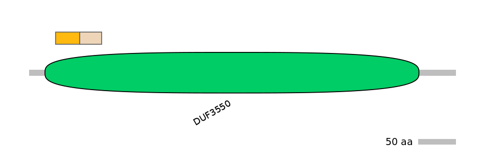 DreINT0131110-EXC