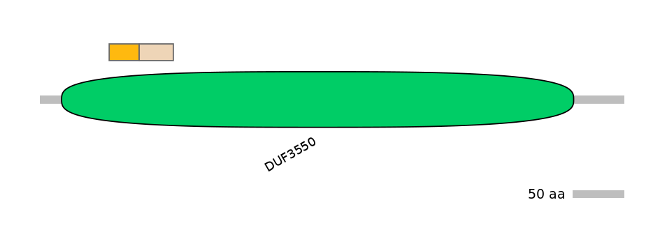 DreINT0131111-EXC