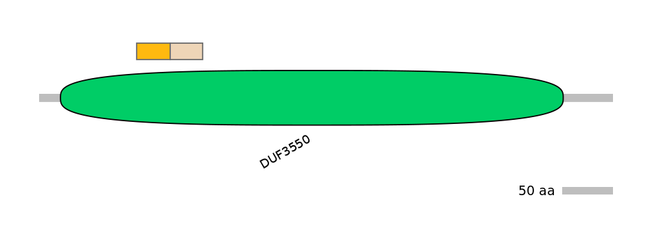 DreINT0131112-EXC