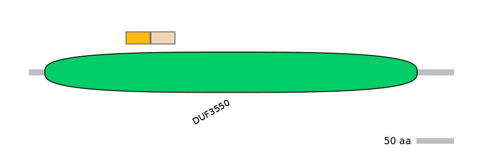 DreINT0131113-EXC