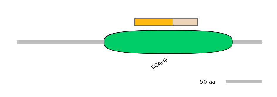 DreINT0131122-EXC
