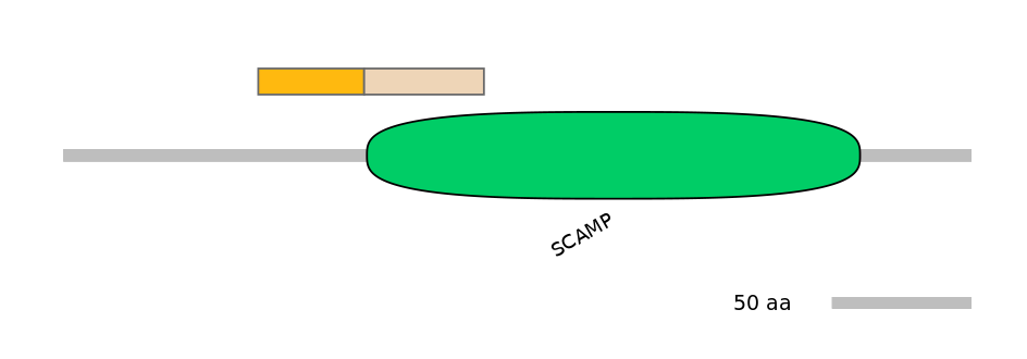 DreINT0131128-EXC