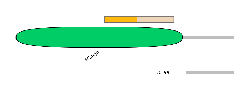DreINT0131158-EXC