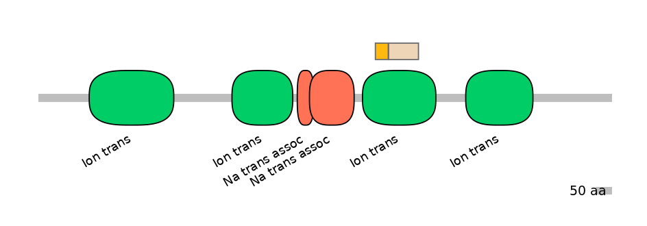 DreINT0131512-EXC