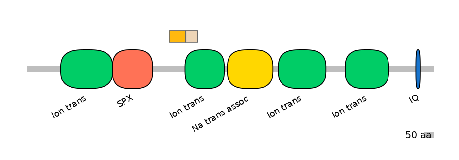 DreINT0131562-EXC