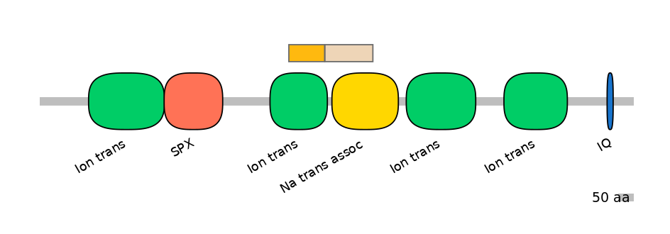 DreINT0131564-EXC