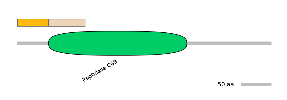 DreINT0131724-EXC