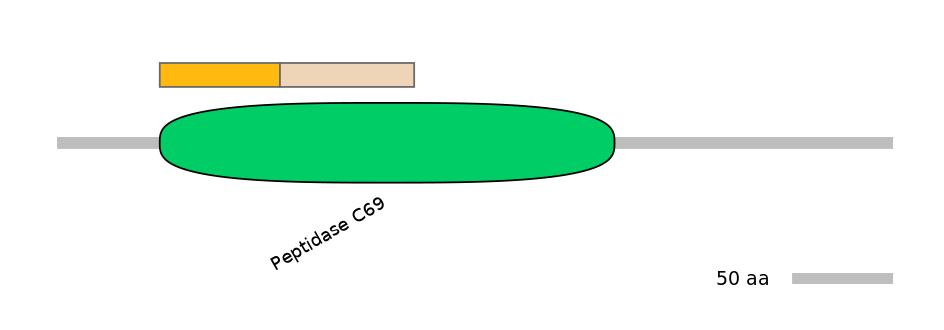 DreINT0131725-EXC