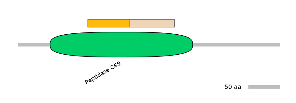 DreINT0131726-EXC