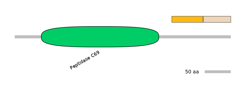 DreINT0131729-EXC