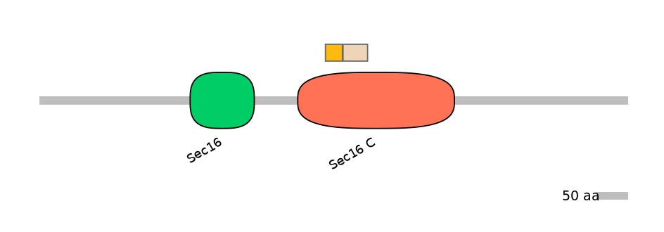 DreINT0132114-EXC