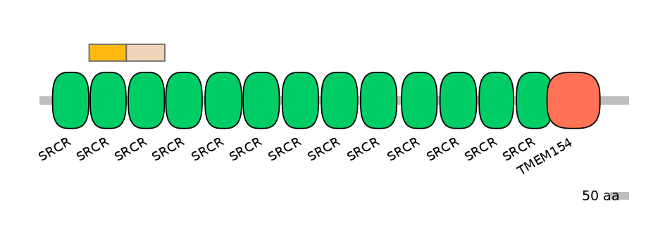 DreINT0136685-EXC