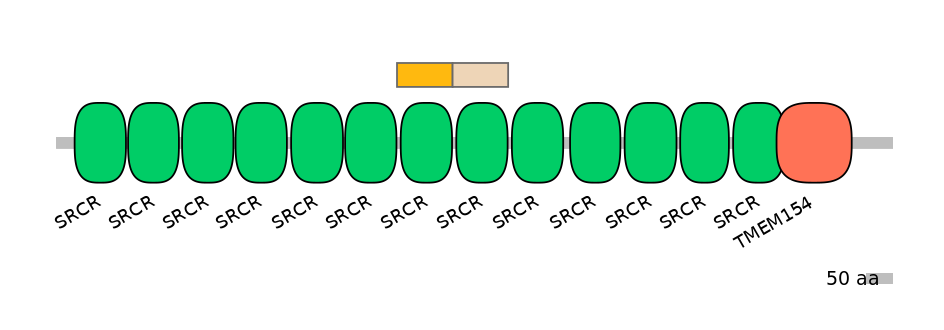 DreINT0136689-EXC