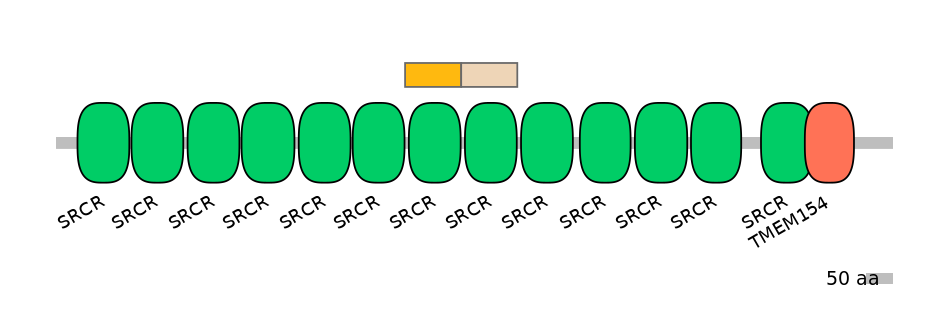 DreINT0136703-EXC
