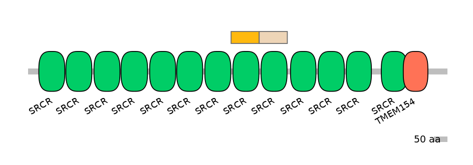 DreINT0136704-EXC