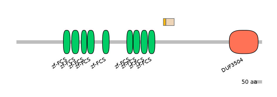 DreINT0139549-EXC