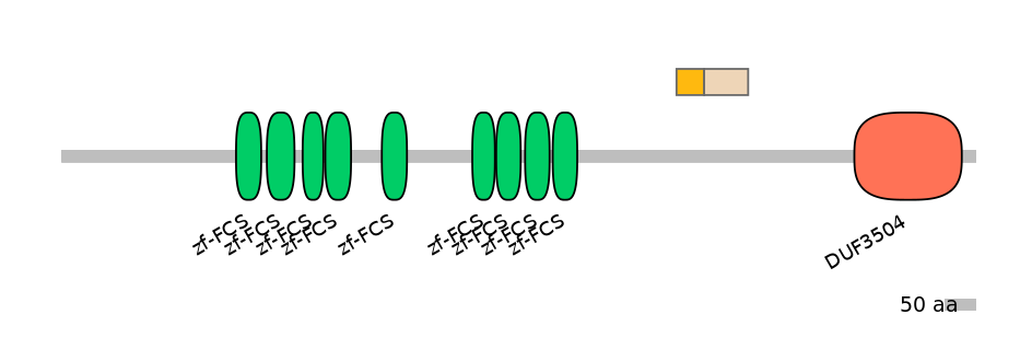 DreINT0139553-EXC