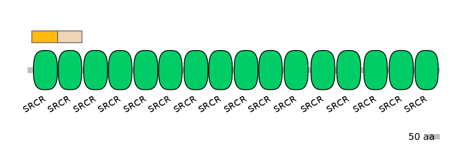 DreINT0144178-EXC