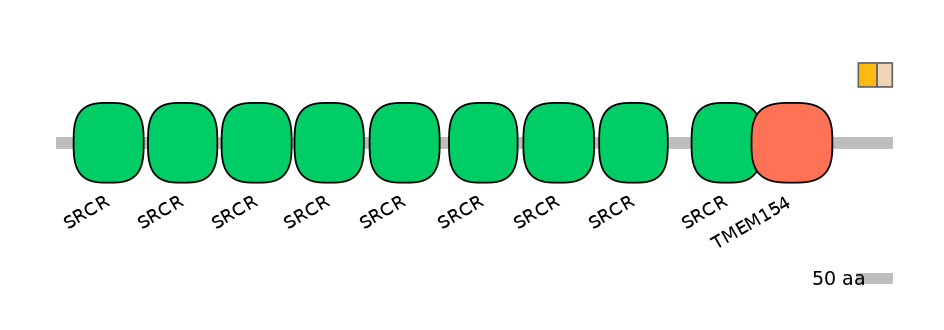 DreINT0144192-EXC
