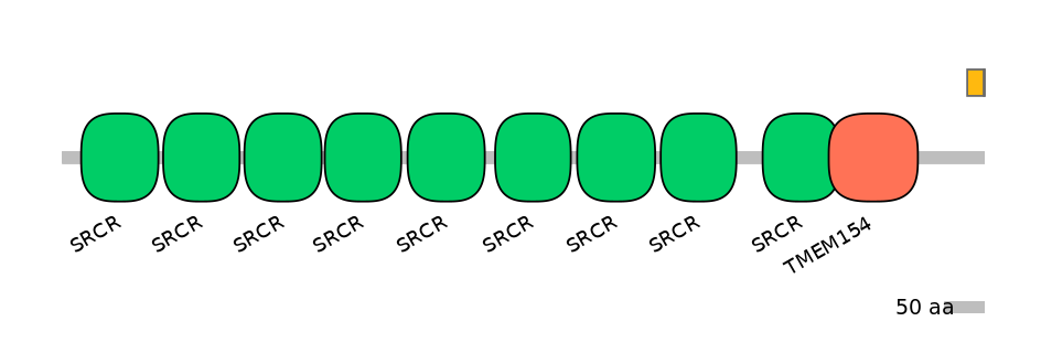 DreINT0144193-EXC