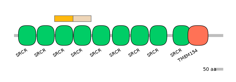 DreINT0144196-EXC