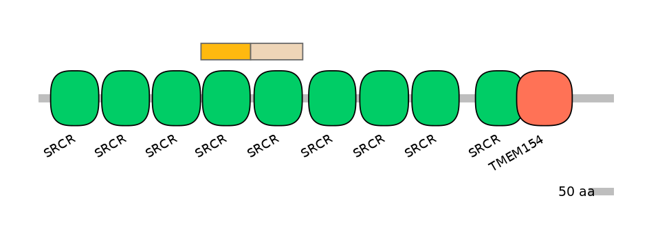 DreINT0144197-EXC