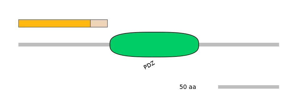 DreINT0145305-EXC