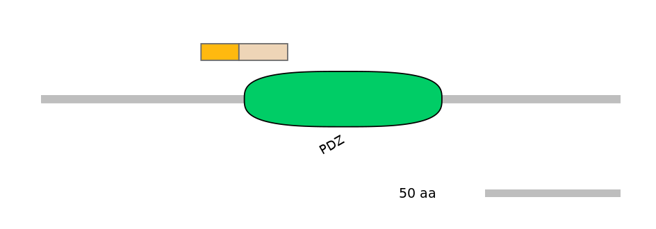 DreINT0145306-EXC