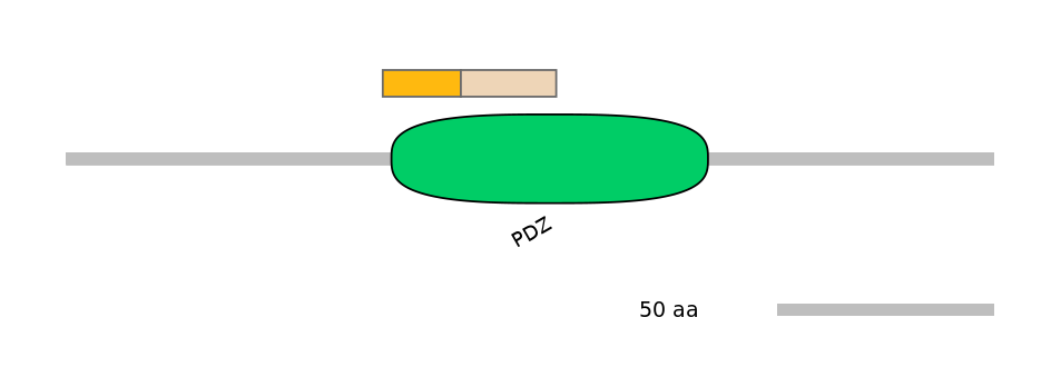 DreINT0145307-EXC