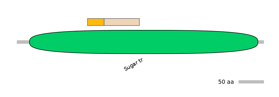 DreINT0150524-EXC