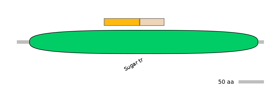 DreINT0150525-EXC