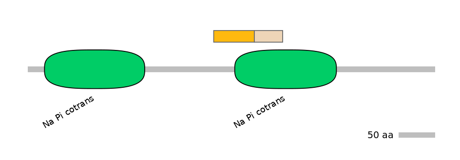 DreINT0150654-EXC