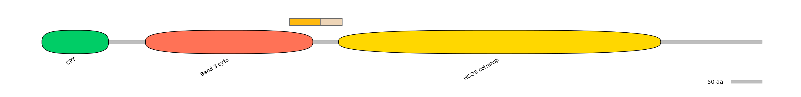 DreINT0151585-EXC