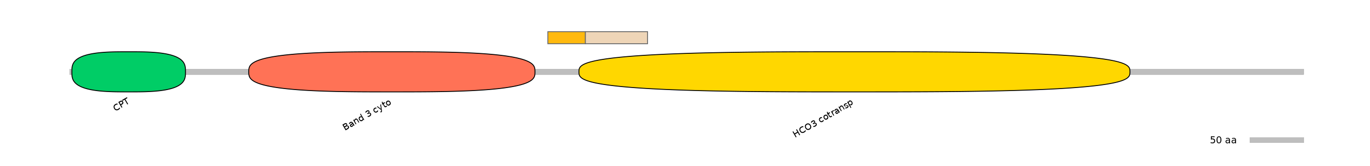 DreINT0151586-EXC