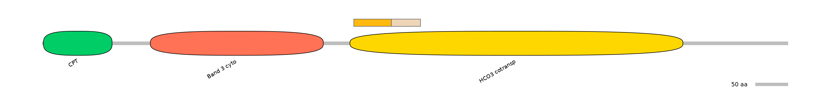 DreINT0151587-EXC