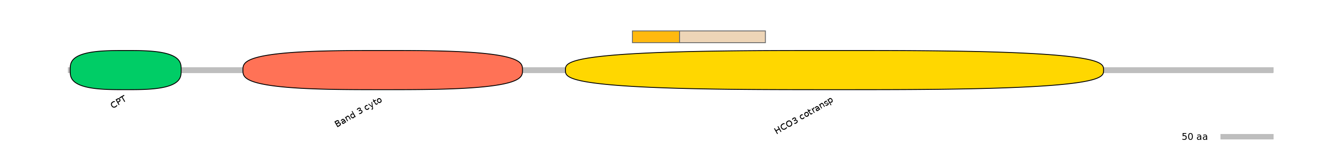 DreINT0151588-EXC