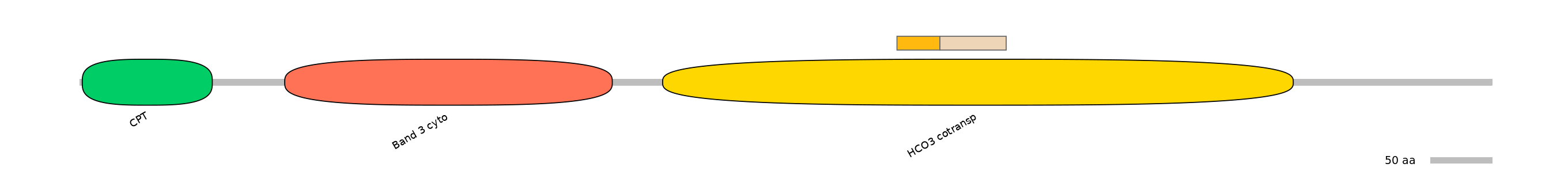 DreINT0151590-EXC