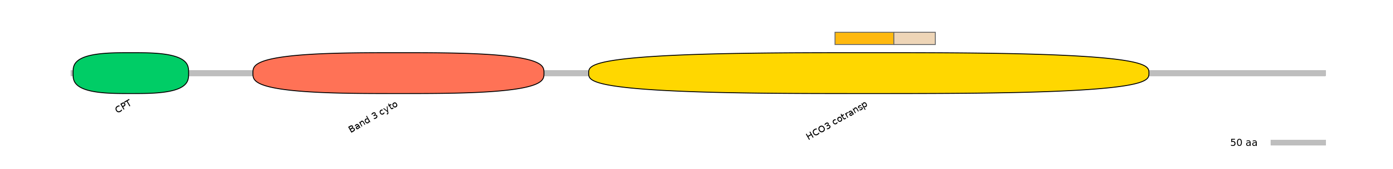 DreINT0151591-EXC
